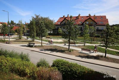 Na zdjęciu widać przesadzone z budowy węzła Karwiny drzewa, które rosną teraz obok Szkoły Podstawowej nr 20 na ul. Starodworcowej w Wielkim Kacku. Na zdjęciu widać ławki, spacerujących mieszkańców i rowerzystę // fot. Przemysław Kozłowski