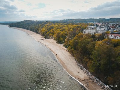 Orłowo to obszar o walorach przyrodniczych, kulturowych i bogatej historii (fot. Marcin Mielewski)