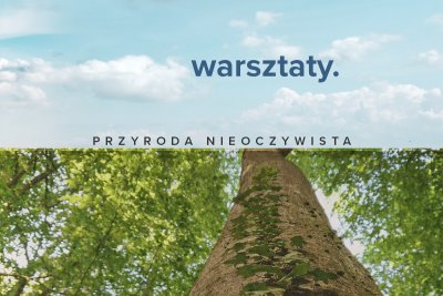 Odkryj warsztaty zielarskie, podwodne oraz leśne