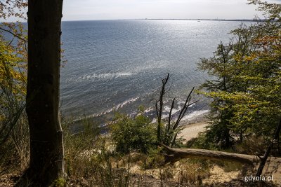 Bałtyk widziany z klifu w Orłowie. Gdynia zabiega o to, by w tym miejscu powstał podwodny rezerwat przyrody. Fot. Przemysław Kozłowski