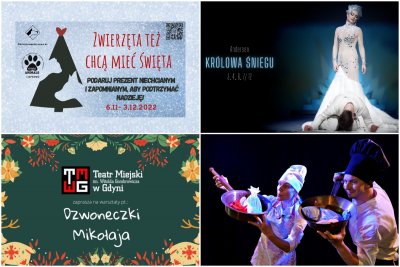 grafika jest collagem aktywności: od góry: 1. zarys choinki i kota oraz psa, 2. królowa śniegu i Kaj, 3. motyw ostrokrzewu z napisem dzwoneczki Mikołaja, 4. kucharka i rybak