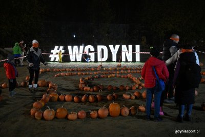 Dyniowy labirynt, w tle neon #wgdyni (fot. Michał Puszczewicz)
