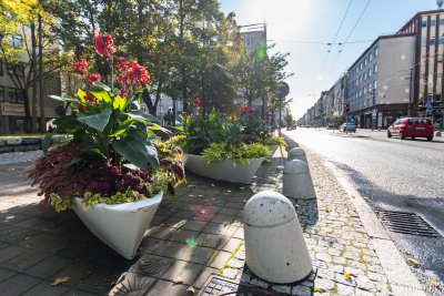 Ulica Świętojańska. Donica w kształcie łódki. W środku kwiaty