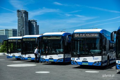 Molo Południowe, ustawione w szeregu przegubowe autobusy, w tle marina i Sea Towers