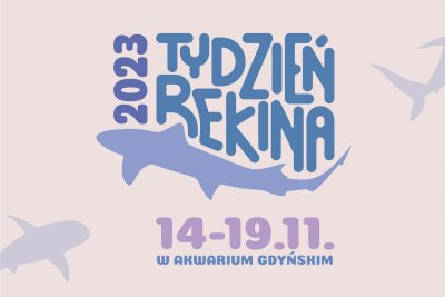 Grafika promująca Tydzień Rekina w Akwarium Gdyńskim // materiały prasowe Akwarium Gdyńskiego