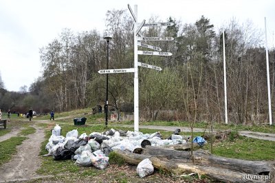 Tak wyglądała akcja sprzątania świata w roku ubiegłym (fot. Michał Puszczewicz/archiwum)
