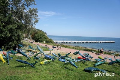 na zdjęciu wyrzeźbione rybki w trawie, w oddali molo