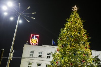 Choinka przed gmachem głównym Urzędu Miasta Gdyni // fot. Karol Stańczak
