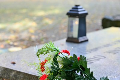 Znicz i kwiaty na Cmentarzy Wojskowym w Redłowie (fot. Magdalena Czernek)