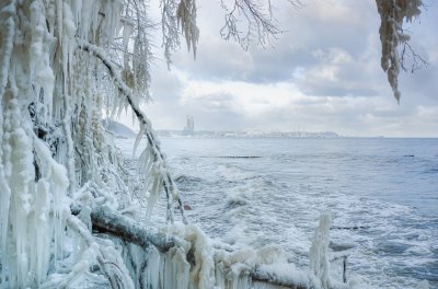 Zdjęcie zatoki zimą, na pierwszym planie oblodzone gałęzie