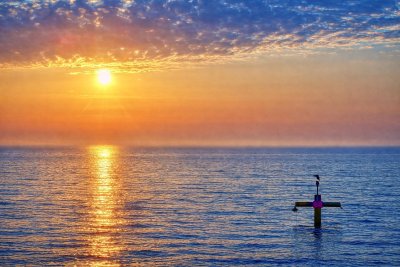 Zapowiada się słoneczny weekend. Warto go spędzić #wgdyni. Zdjęcie z naszej grupy na FB „Gdynia w obiektywie