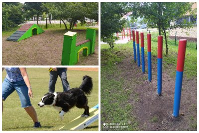 Urządzenia na torze agility na terenie nowego wybiegu dla psów na Dąbrowie // fot. ZDiZ, pixabay.com