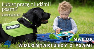 Grafika promująca nabór wolontariuszy do fundacji Dogtor // fot. facebook.com/fundacjadogtor