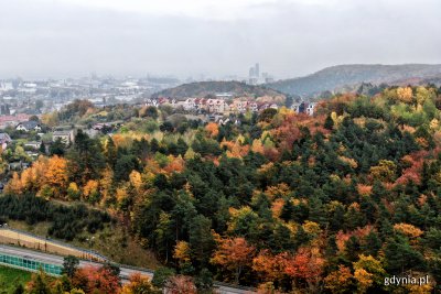 Trasa Kwiatkowskiego raz znajdujące się wokoło zabudowania oraz drzewa w rozmaitych kolorach jesieni. W tle widać panoramę Gdyni i Sea Towers.