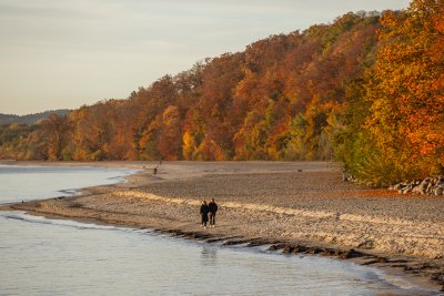 Gdyńska jesień, spacer nad morzem w Orłowie (fot. Karol Stańczak/archiwum)