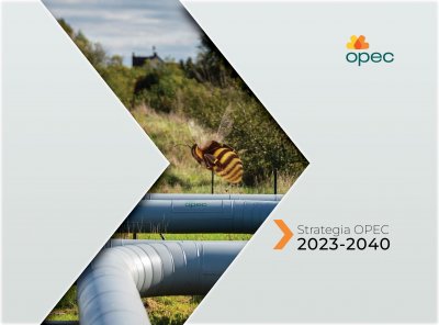 Szara grafika promująca Strategię OPEC 2023-2040. W środku fragment zdjęcia z pszczołą