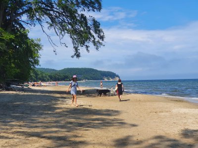 Psia plaża w Orłowie // fot. Małgorzata Omachel-Kwidzińska