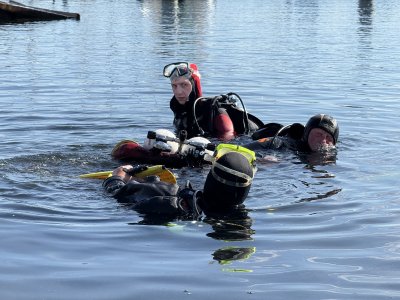 Nurkowie w Marinie Gdynia podczas EkoNurkowego Dnia (fot. Magdalena Iwanowicz-Mongird)