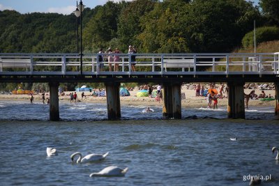 Pogoda zachęca do plażowania na czterech gdyńskich strzeżonych kąpieliskach (fot. Przemysław Kozłowski)