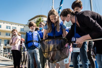Edukator z Akwarium stoi obok dzieci w marinie jachtowej w Gdyni. Korzystają z podbieraka wędkarskiego. W tle budynki
