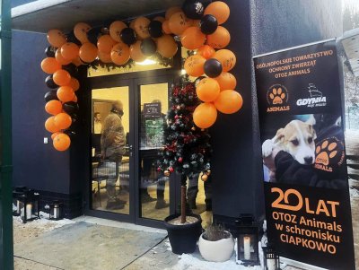 Od 20 lat Gdynia współpracuje z OTOZ Animals (fot. mat. prasowe OTOZ Animals „Ciapkowo