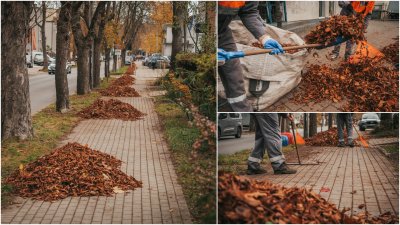 Pracownicy porządkują chodniki i zbierają liście na ul. Witomińskiej (fot. Marcin Mielewski)