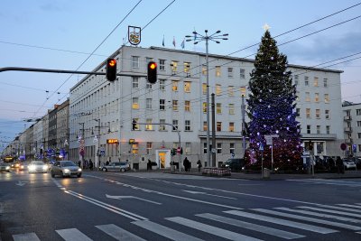 Choinka przy Urzędzie Miasta Gdyni, fot. Michał Kowalski
