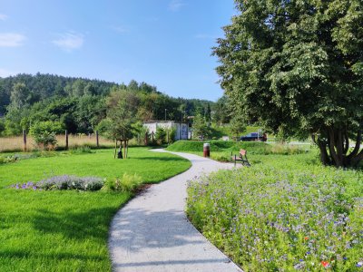 Park kieszonkowy na Pustkach Cisowskich-Demptowie jest jednym z czterech powstających w Gdyni w ostatnim czasie / fot. Wydział Ogrodnika Miasta