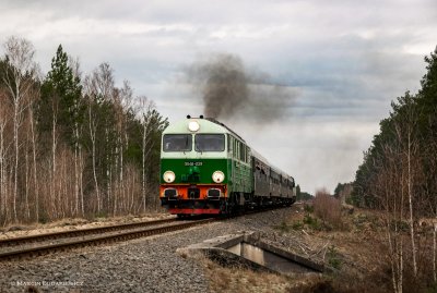 Pociąg Foka podczas przejazdu na torach