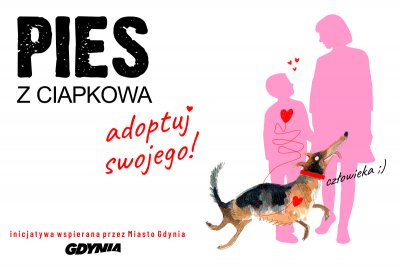 Poznaj, pokochaj i adoptuj (grafika: Marta Toczek i Zofia Różycka)