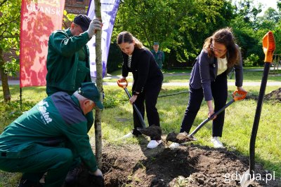 Prezydent Gdańska Aleksandra Dulkiewicz wraz z prezydent Gdyni Aleksandrą Kosiorek podczas sadzenia drzew na skwerze im. Ignacego Daszyńskiego w Gdańsku (fot. Magdalena Starnawska)