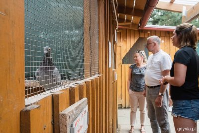 Ostoja w Pomieczynie, przejście między drewnianymi wolierami dla ptaków. Zza kraty widoczny gołąb, w tle trzy osoby