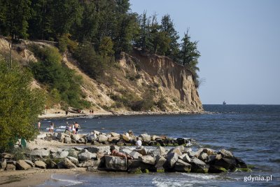 Plaża w Orłowie. Na zdjęciu plażowicze na kamiennej grobli, w tle Klif Orłowski porośnięty lasem. Fot, Przemysław Kozłowski