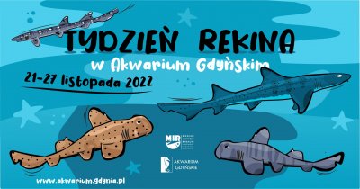 Grafika promująca Tydzień Rekina w Akwarium Gdyńskim // materiały prasowe Akwarium Gdyńskiego