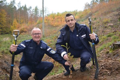 W Marszewie posadzono 100 dębów na 100-lecie Policji  // fot. KMP w Gdyni