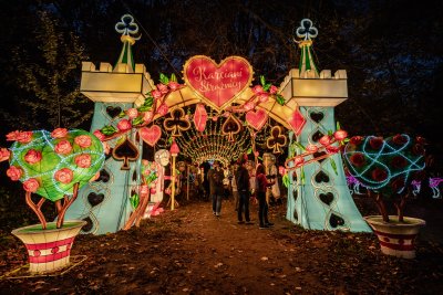 „Ogród Świateł” w Parku Kolibki to wystawa lampionów, instalacji świetlnych i multimedialnych pokazów, które odtwarzają scenerię znaną z „Alicji w Krainie Czarów”, fot. Kamil Złoch