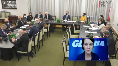 Zrzut ekranu z transmisji posiedzenia senackiej komisji - widoczne stoły i kilkanaście osób, w mniejszym oknie internetowe połączenie z wiceprezydent Gdyni