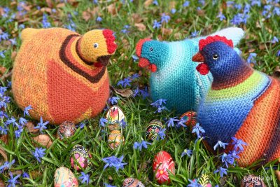 Wesołëch Jastrów! (fot. Adrianna Jaskółka)