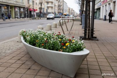 Donica łódka na ul. Świętojańskiej, z zasadzonymi kwiatami w kolorach białym, czerwonym i pomarańczowymi. // fot. Przemysław Kozłowski