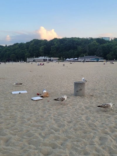 Śmieci na plaży w Gdyni // źródło www.trojmiasto.pl/raport