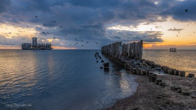 To jedno z ulubionych miejsc lokalnych fotografów, a już za trzy lata taki sam widok będą mieć podchorąży uczący się żeglowania w ramach zajęć w Akademii Marynarki Wojennej - przystań powstanie tuż naprzeciwko charakterystycznej torpedowni w Babich Dołach, fot. Daniel Pietrzykowski / z naszej facebookowej grupy Gdynia w obiektywie