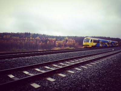 Pomorska Kolej Metropolitalna do Gdyni jedzie m.in. przez lasy na wysokości Karwin. Z okna pociągu można podziwiać przepiękne widoki // fot. Krzysztof Osipowicz (zdjęcie pochodzi z naszej facebookowej grupy Gdynia w obiektywie)