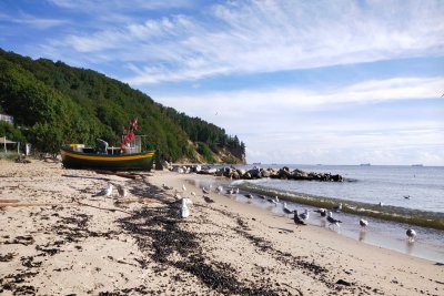 Zdjęcie przedstawiające fragment plaży w Orłowie. Widoczne ptaki na plaży, morze, brzeg i łódź rybacka oraz część klifu w oddali. Słoneczna pogoda, dzień.