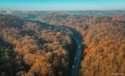 Od 22 listopada ulica Kielecka będzie jednokierunkowa, w kierunku Witomina (fot. Marcin Mielewski, ZDiZ Gdynia)