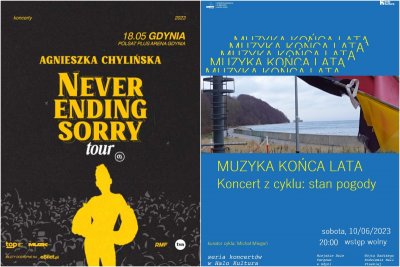 W Polsat Plus Arenie usłyszymy utwory z najnowszej płyty Chylińskiej // mat. prasowe