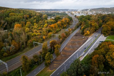 Aleja Zwycięstwa, las, teren zielony między jezdniami, widoczne nasadzenia, jesień