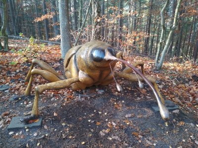 Szlak Alicji polecany jest dla małych dzieci. Zobaczymy tam gigantyczne owady, fot. gdynia.pl