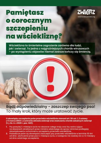 Materiały promocyjne