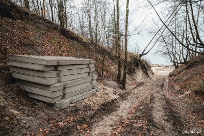 Budowa drogi na plażę na Oksywiu przez leśny wąwóz. Fot. Kamil Złoch 