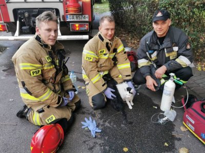 Dla gdyńskich strażaków każde życie jest tak samo ważne. // fot. st. kpt Paweł Gil, Komenda Miejska Państwowej Straży Pożarnej w Gdyni